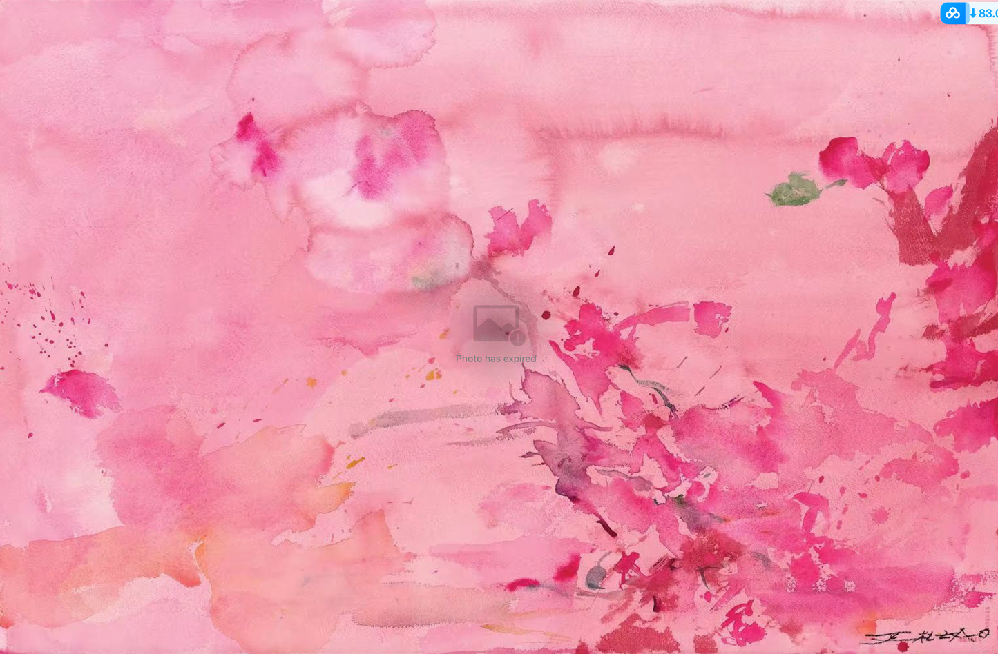 KIKO KOSTADINOV Grey Cargo Pants